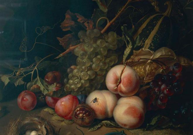 Comp שמור ללוח איטליה, פירנצה, טבע דומם עם פירות וחרקים מאת רחל רויש, 1711, שמן על בד, פרט