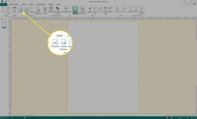 צילום מסך של Microsoft Publisher עם אפשרויות ההוספה תמונות ותמונות מקוונות מודגשות