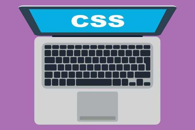 מחשב נייד עם מילה CSS על המסך