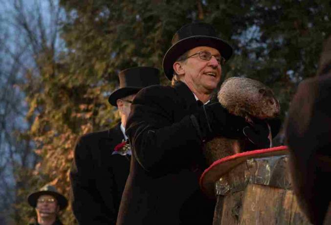 יום Groundhog בפונקססוטווני, פנסילבניה